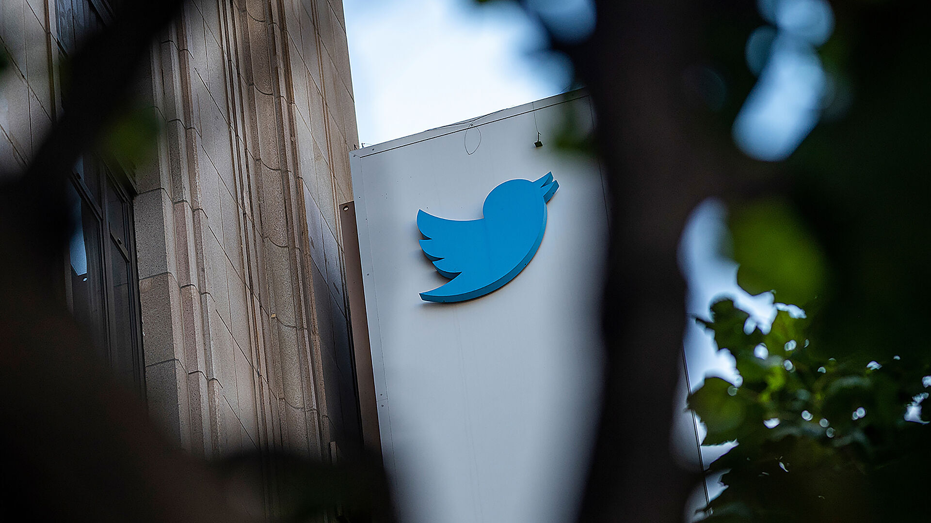 Elon Musk delays $8 'blue check' Twitter verification plan until after the midterms